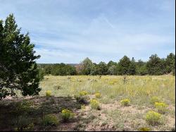 Lot 9 Copperweed Road, Ramah NM 87321