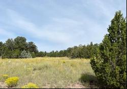 Lot 9 Copperweed Road, Ramah NM 87321