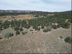 Lot 9 Copperweed Road, Ramah NM 87321