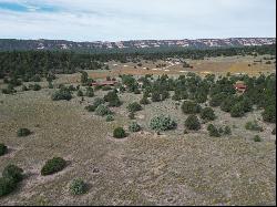 Lot 9 Copperweed Road, Ramah NM 87321