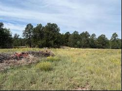 Lot 9 Copperweed Road, Ramah NM 87321