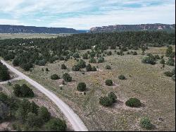 Lot 9 Copperweed Road, Ramah NM 87321