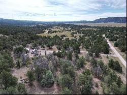 Lot 9 Copperweed Road, Ramah NM 87321