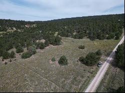 Lot 9 Copperweed Road, Ramah NM 87321