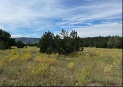 Lot 9 Copperweed Road, Ramah NM 87321