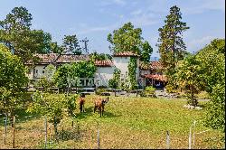 Enchanting villa with large park & guest house for sale in Cugnasco