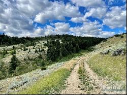 TBD Turnback Trail, Red Lodge MT 59068