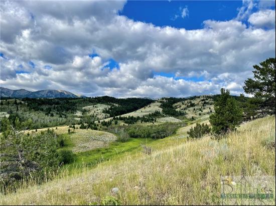 TBD Turnback Trail, Red Lodge MT 59068