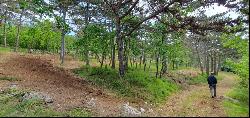 BUILDING LAND PLOT FOR SALE, 30.260 SQM - ISTRIA