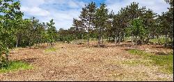 BUILDING LAND PLOT FOR SALE, 30.260 SQM - ISTRIA