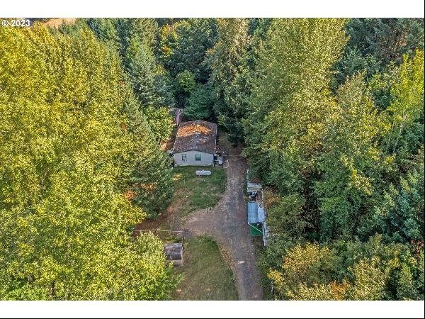 14250 NW Bear Rd, Yamhill OR 97148