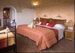 Memorable country house with agrotourism license in Sant Climent