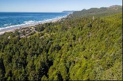 Lion Rock St. Arch Cape, OR 97102