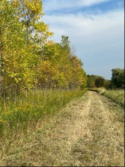 N4969 State Road 47 -, Black Creek WI 54106