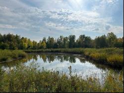 N4969 State Road 47 -, Black Creek WI 54106