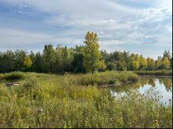 N4969 State Road 47 -, Black Creek WI 54106