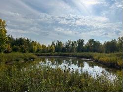 N4969 State Road 47 -, Black Creek WI 54106