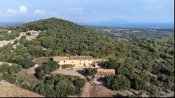 Extensive agricultural Finca with several buildings for sale in , Arta 07570