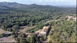 Extensive agricultural Finca with several buildings for sale in , Arta 07570