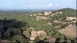 Extensive agricultural Finca with several buildings for sale in , Arta 07570