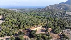 Extensive agricultural Finca with several buildings for sale in , Arta 07570