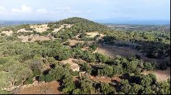 Extensive agricultural Finca with several buildings for sale in , Arta 07570