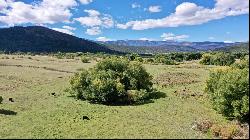 154 Acres Highway 94 Mora, Mora NM 87732