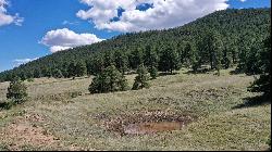 154 Acres Highway 94 Mora, Mora NM 87732