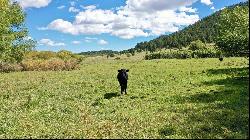 154 Acres Highway 94 Mora, Mora NM 87732