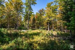 Lot 2 Styles Brook Road, Keene NY 12942