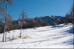 One of The Last Great Ski-in/Ski-out Properties