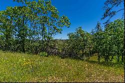 12377 Twin Pines, Sutter Creek, CA 95685