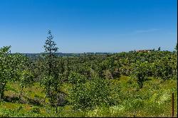 12377 Twin Pines, Sutter Creek, CA 95685