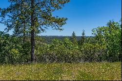 12377 Twin Pines, Sutter Creek, CA 95685