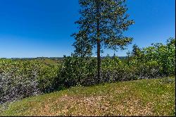 12377 Twin Pines, Sutter Creek, CA 95685