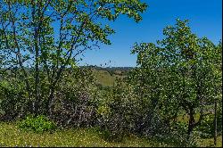 12377 Twin Pines, Sutter Creek, CA 95685