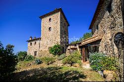 Fully renovated medieval towers with pool