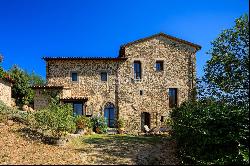 Fully renovated medieval towers with pool