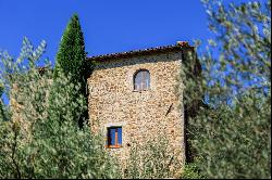 Fully renovated medieval towers with pool