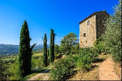 Fully renovated medieval towers with pool