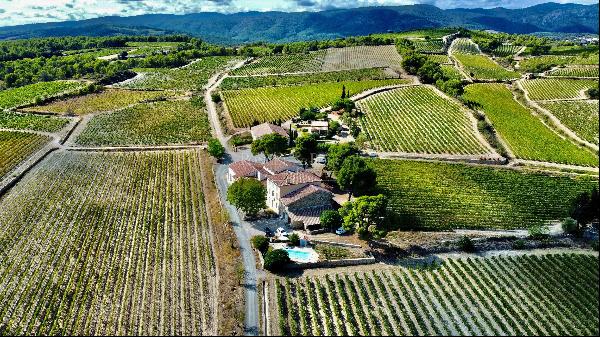 Cru La Livinière organic and HVE winegrowing estate 46 ha