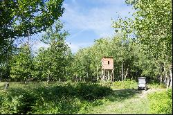 HUNTING PROPERTY  in Sologne, France