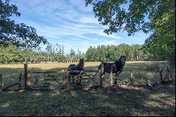 HUNTING PROPERTY  in Sologne, France