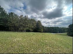 0 Thunder Ridge Dr #Lot 21, South Pittsburg TN 37380