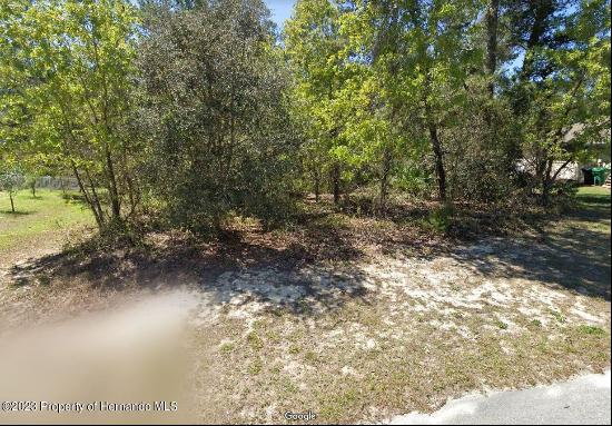 24 Statice Court, Homosassa FL 34446