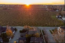 Vineyard and Sunset Views