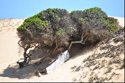 Praia da Rocha