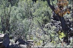 Matisse Road, Carson NM 