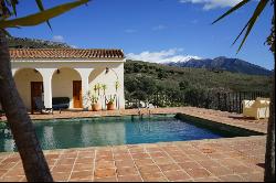 Andalusian-style villa with lake, mountain and sea views in Alca, Alcaucín 29711