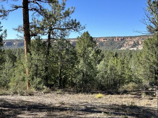 Lot 18 Quail Road, Ramah NM 87321